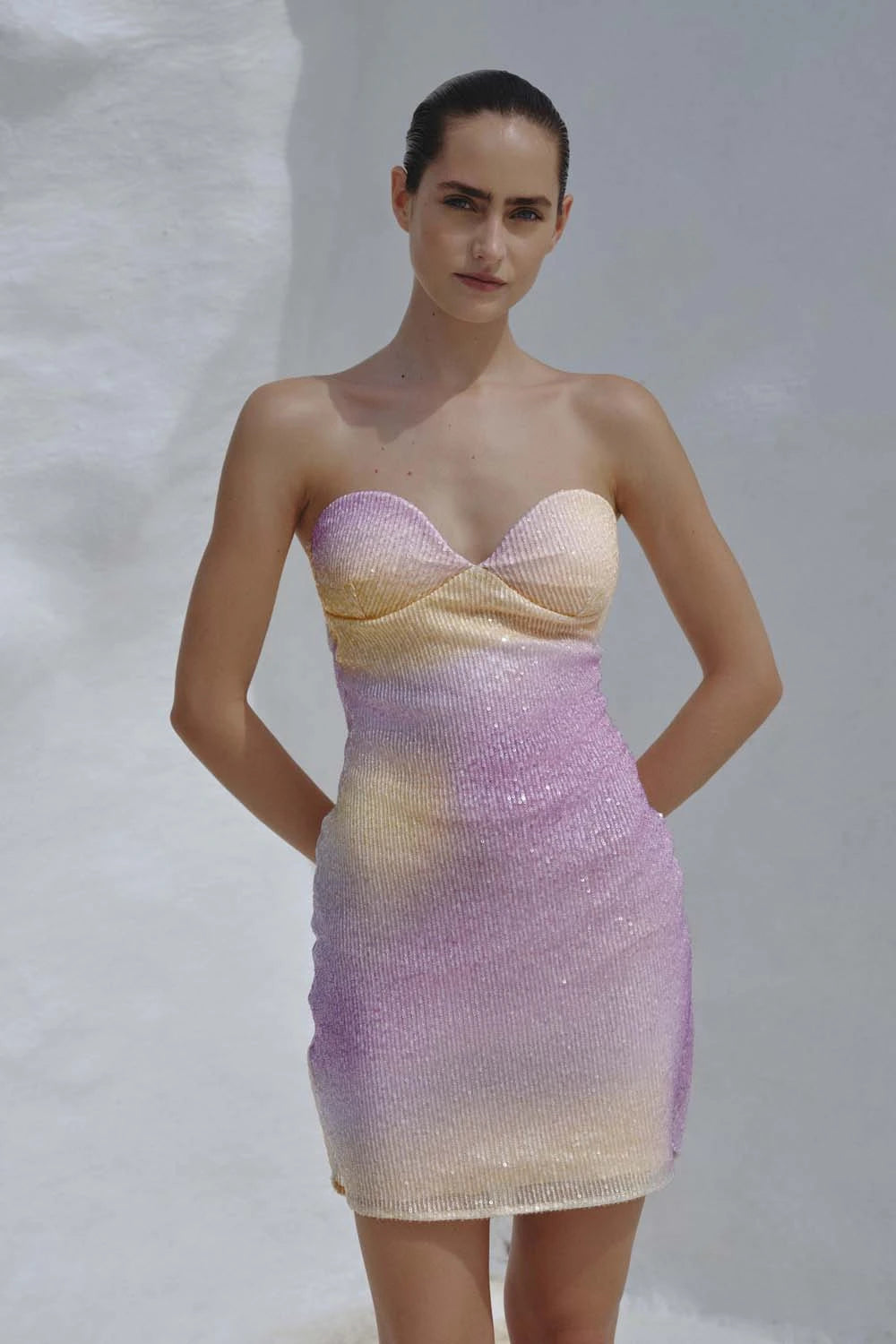 Cam Mini Dress Elegant Tulle Mini Dress