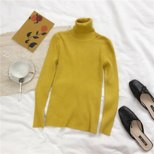 Knitted Women high neck Sweater